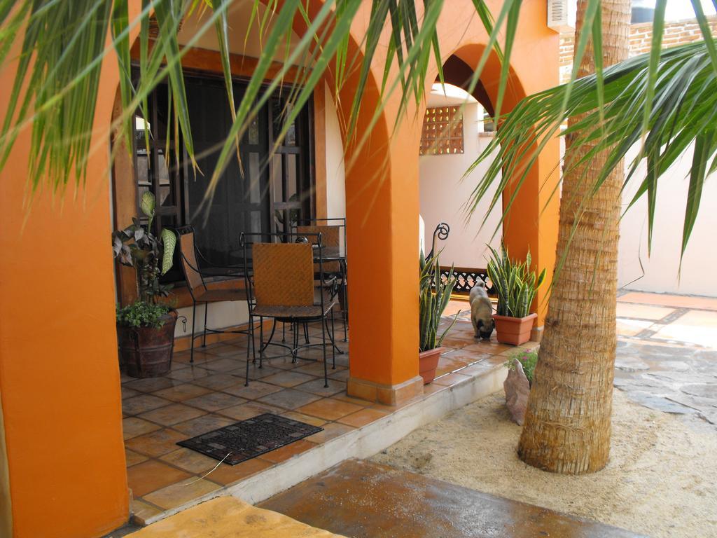 Hotel Leo'S Baja Oasis La Paz Pokoj fotografie
